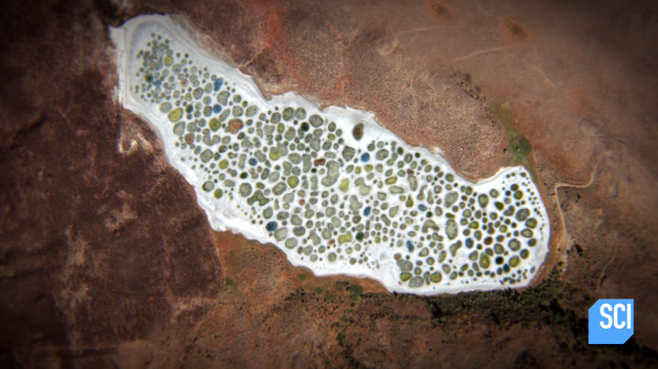 Spotted lake 