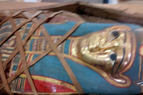 Ancient Egyptian mummy found