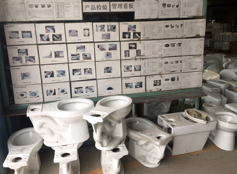 China toilet revolution 