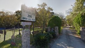 Bayou Wildlife Zoo Texas