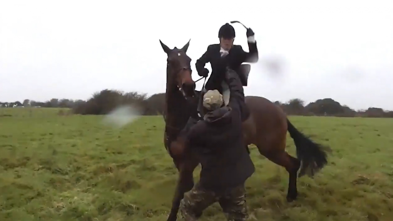 Shocking Footage Shows Huntswoman Violently Whipping Protester In   Fox Hunter Seen Whipping Activist Riding Crop 