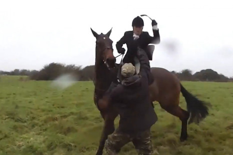 Fox Hunter Seen Whipping Activist With Riding Crop