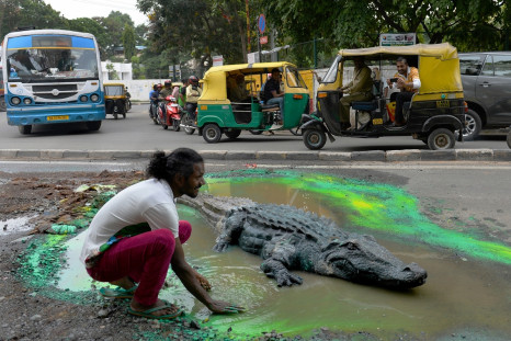 Bangalore potholes