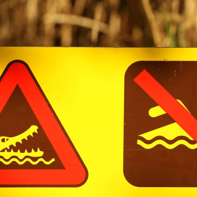 Crocodile swim signs