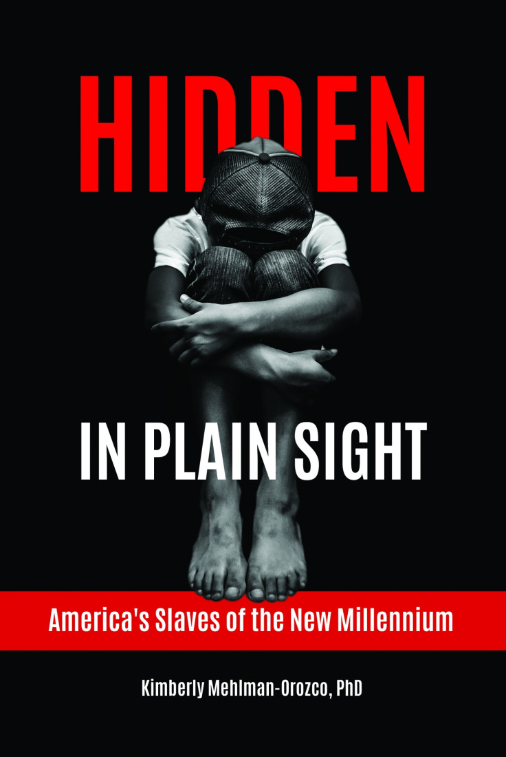 Hidden in Plain Sight by Kimberly Mehlman-Orozco