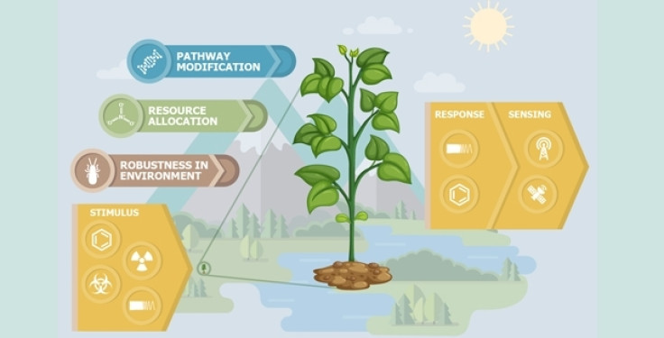 DARPA plants with sensing capabilities