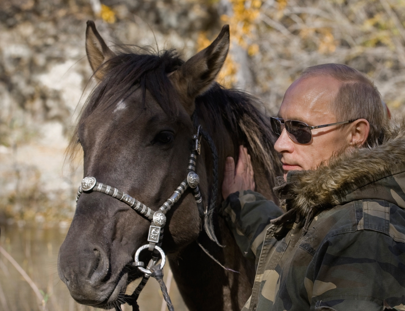 Vladimir Putin horse
