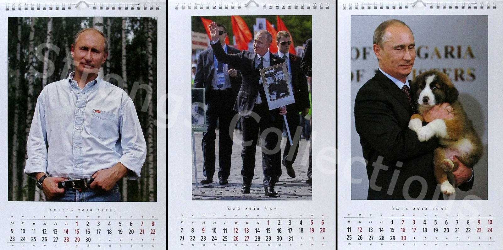 Vladimir Putin calendar