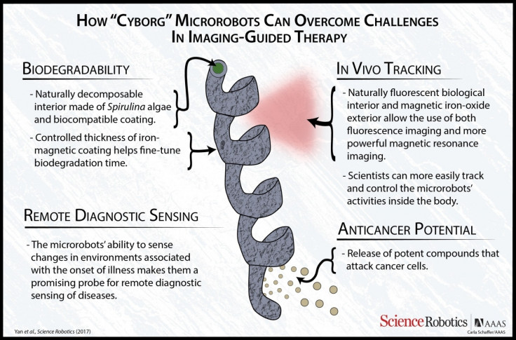 Nanobots fighting cancer