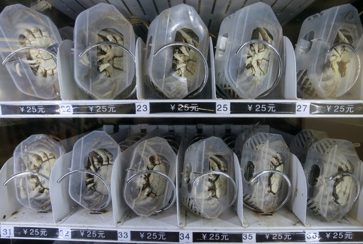 Live crab vending machine