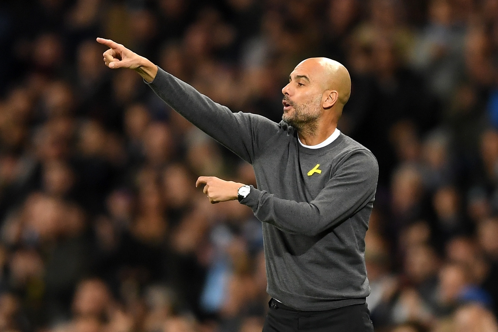 UEFA Champions League QF 18/19: Tottenham Hotspur FC v Manchester City  Pep-guardiola