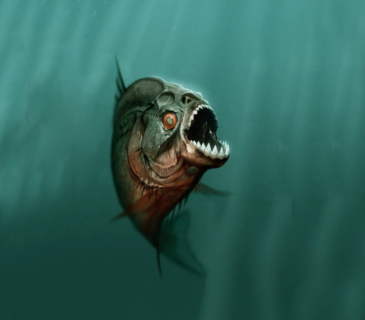 Piranha