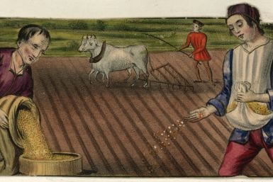 Farming in the Middle Ages 