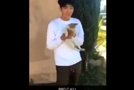 16-year-old boy flinging a cat onto the street