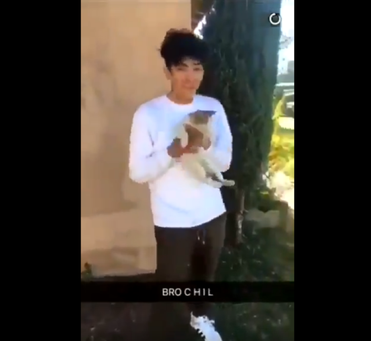 16-year-old boy flinging a cat onto the street