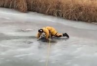 Firefighter rescues dog in Canada Firefighter rescues dog in Canada