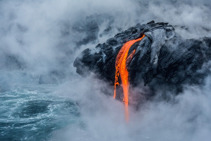 Royal Society Publishing photo competition