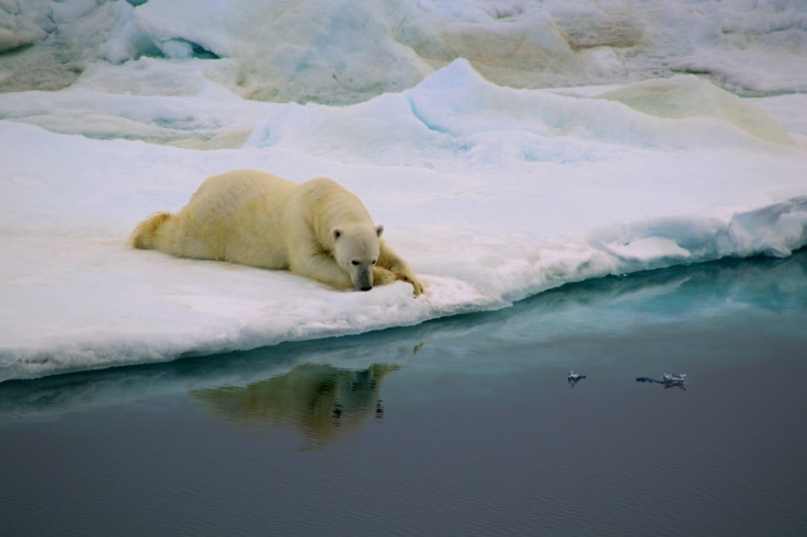 Royal Society Publishing photo competition