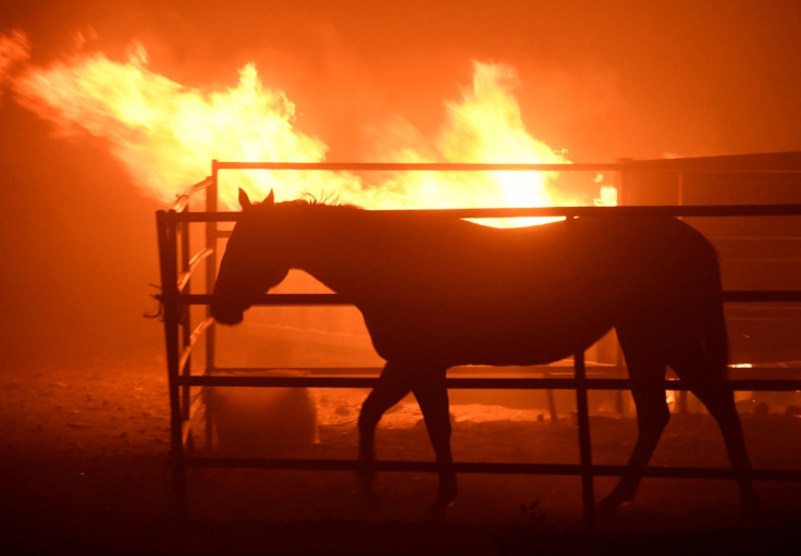 California fires