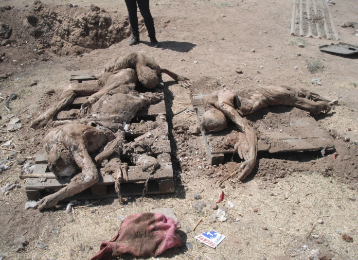 File photo of the remains of bodies found in a mass grave next to a highway in Durango, close to the Mexican/US border used by drug cartels