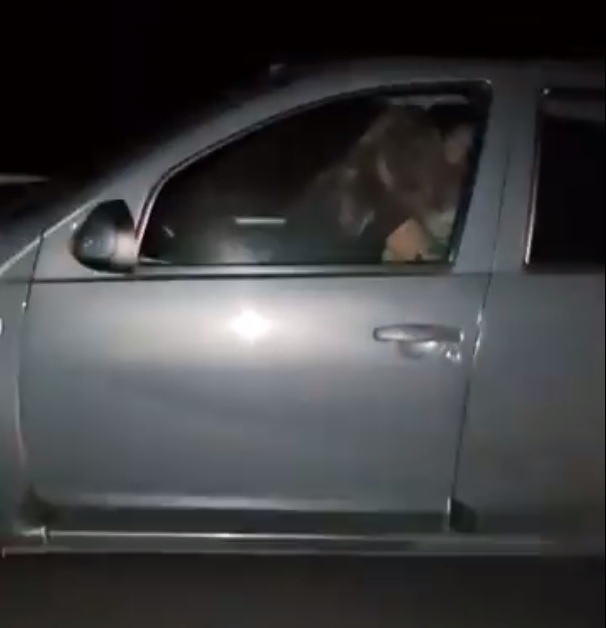 Couple having sex while driving
