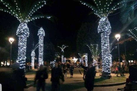 Christmas lights on palm trees