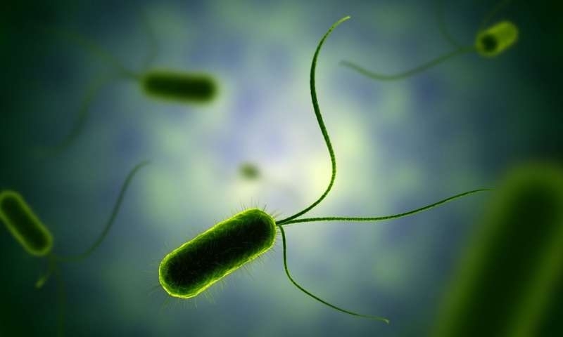 bacteria in air