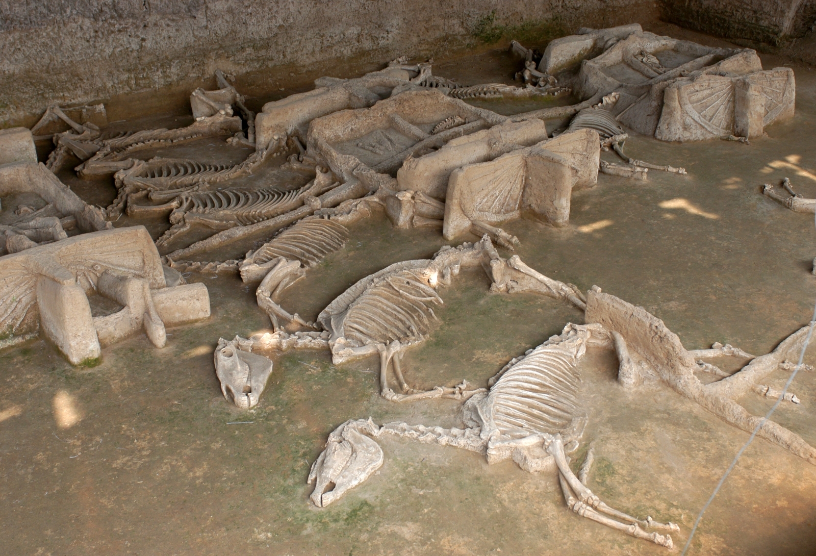 soup-for-the-soul-ancient-chinese-ritual-tureen-and-bowls-discovered