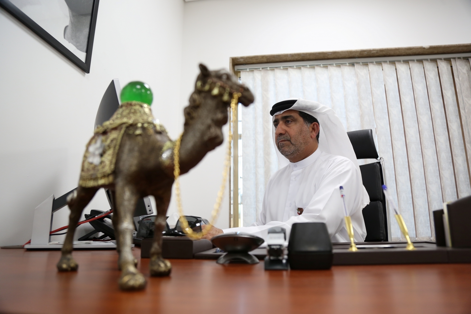 Dubai Camel Hospital boss