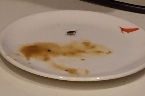 Cockroach on airline plate