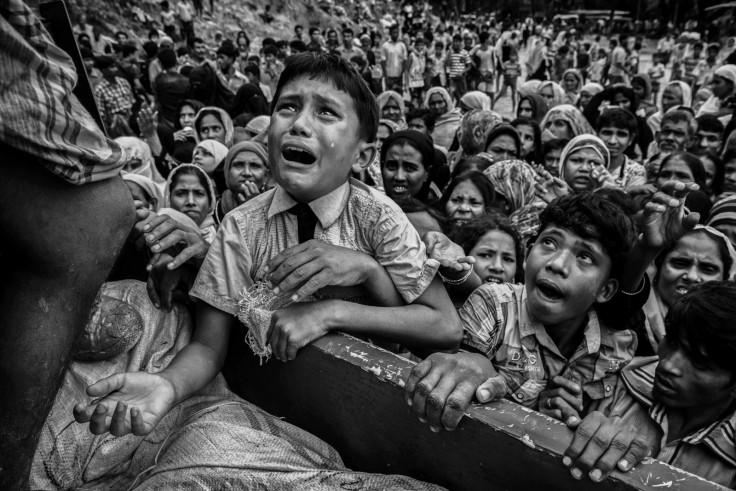 Getty Images pictures of the year 2017