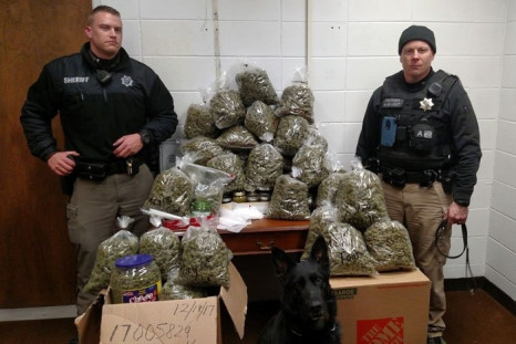Sheriffs with seized marijuana