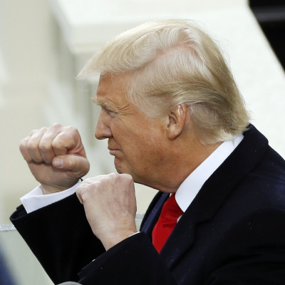 Donald Trump Fists