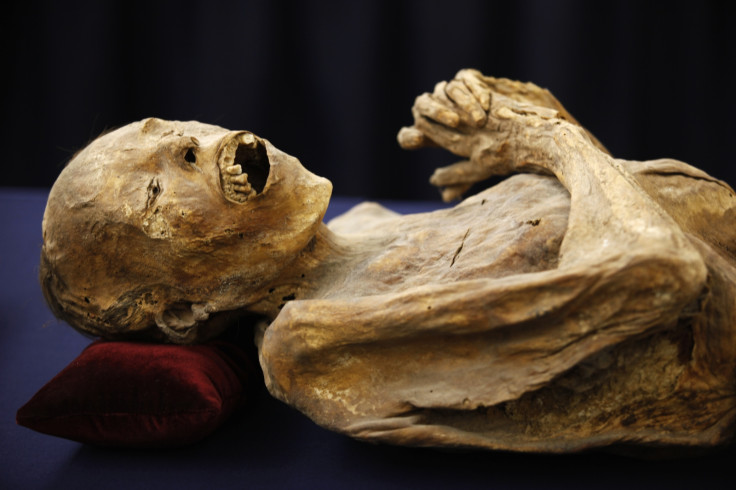 Mummified body