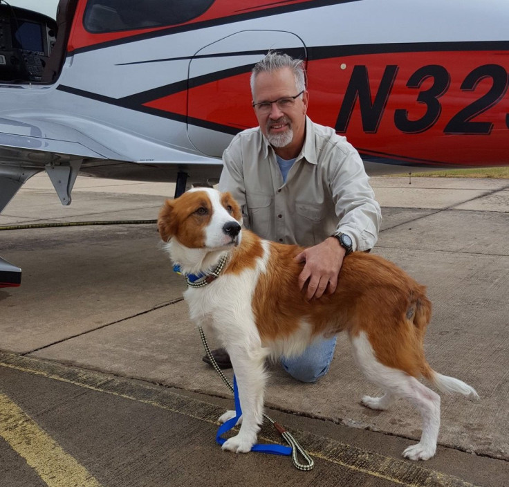missing animal rescue pilot