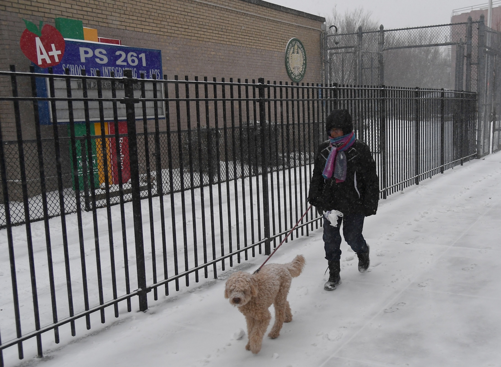 US bomb cyclone dog deaths