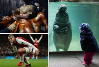 Pictures of the week Pictures of the week