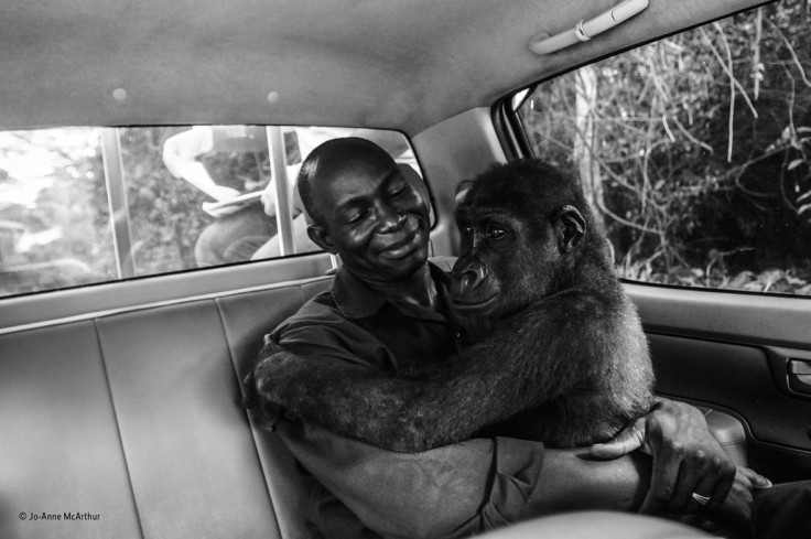 Wildlife Photographer of the Year People's Choice