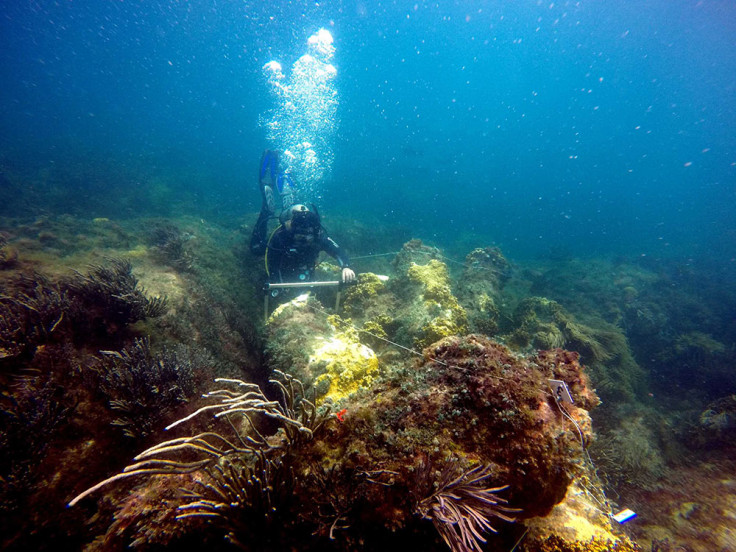 Shipwreck