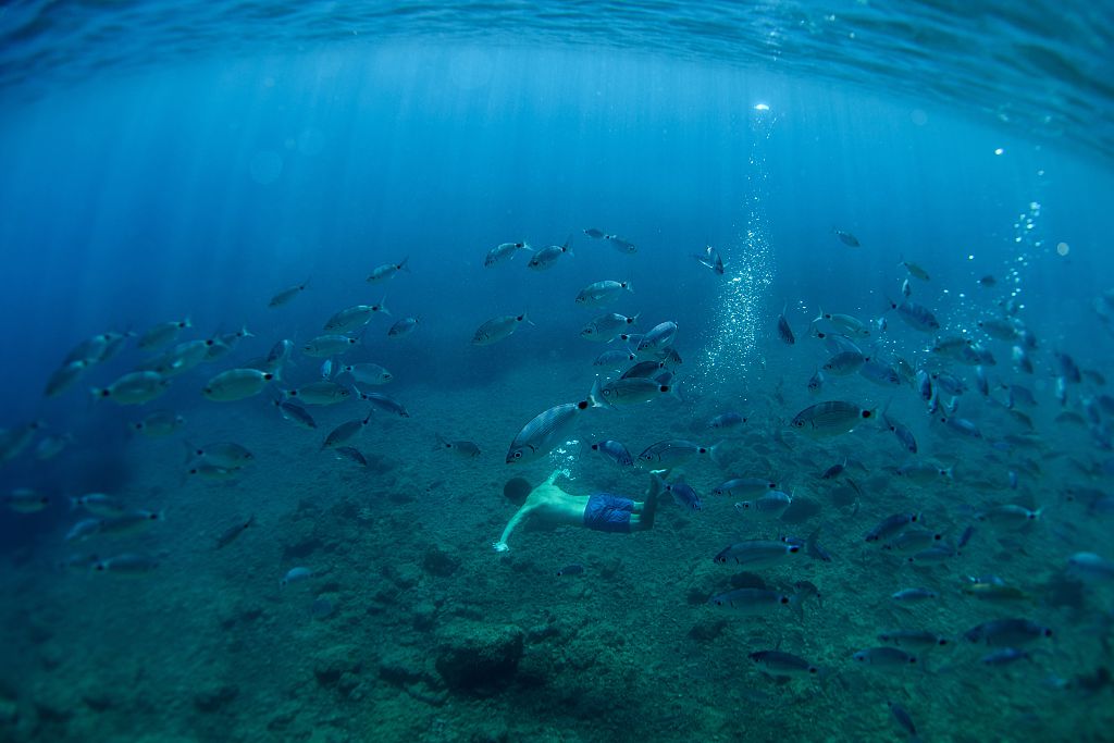 Climate change could lead to marine food shortage, posing a serious