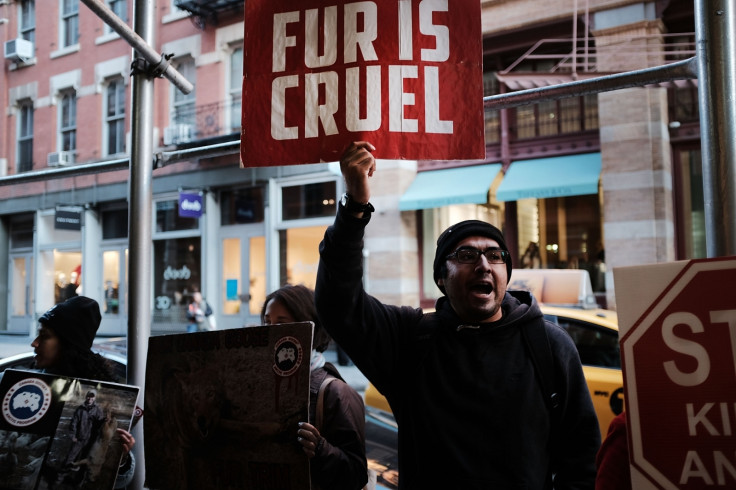fur protest 