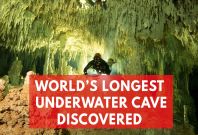 World’s Biggest Ever Underwater Cave Filled With Ancient Mayan Artefacts Discovered In Mexico