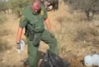 border patrol border patrol