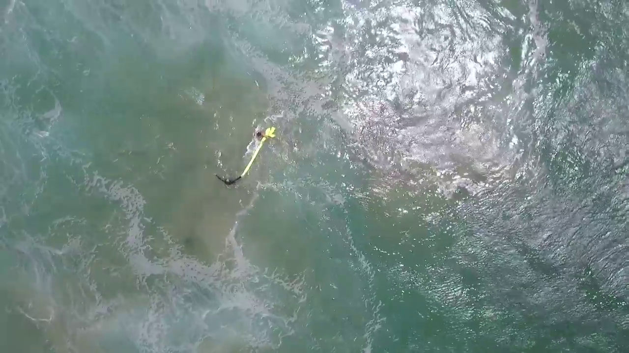 Drone saves swimmers