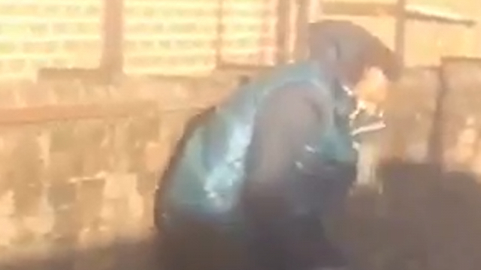 Police want to speak to this man in connection with an assault in Brixton, south London, last month Police want to speak to this man in connection with an assault in Brixton, south London, last month