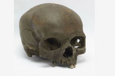 Skull Iron Age Woman