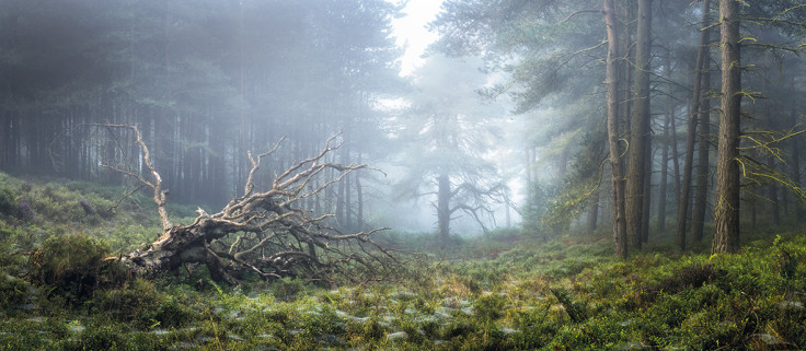 Outdoor Photographer of the Year