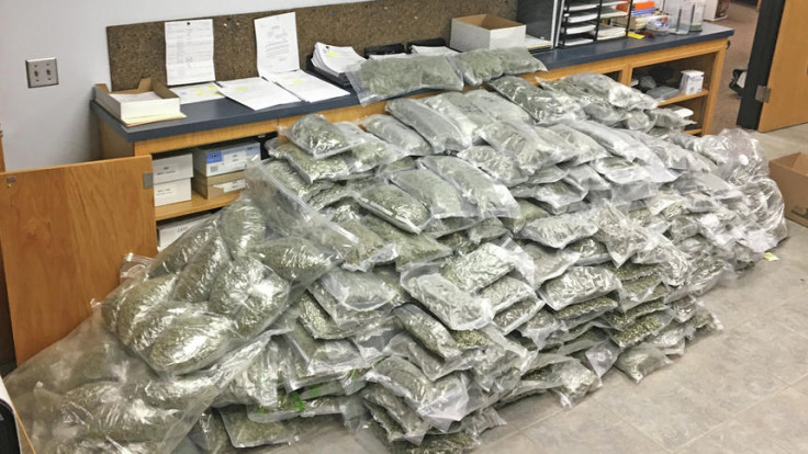 marijuana seizure