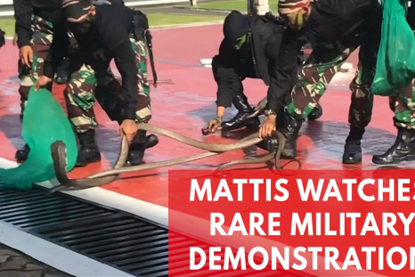 Mattis Watches Indonesian Forces Drink Snake Blood, Walk On Fire And Break Bricks
