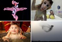 Pictures of the week Pictures of the week